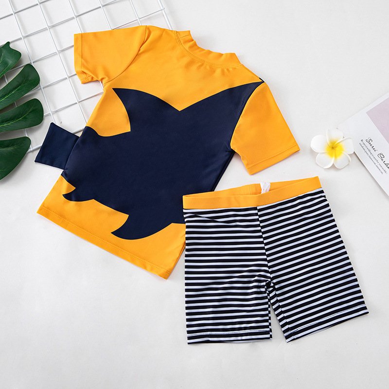 1619658427393.jpg 1619658427393.jpg