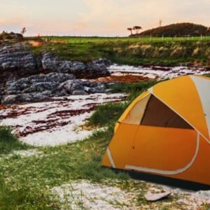 821ec28b a7d2 434c 8662 0a3c400f66e1.jpg